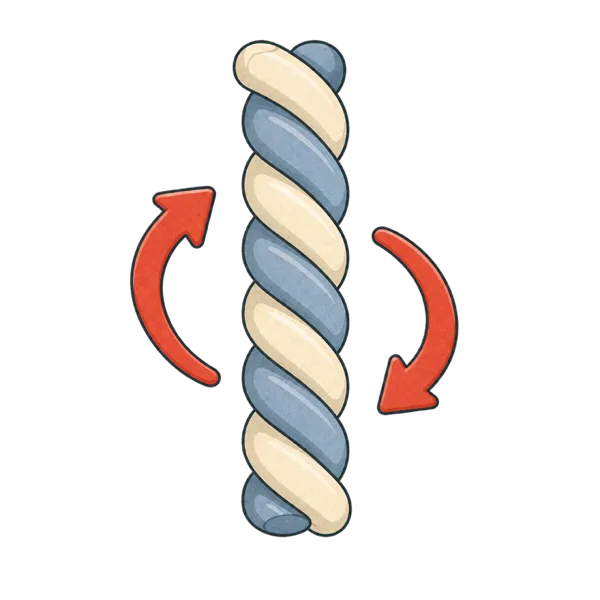 Twisted vocabulary illustration