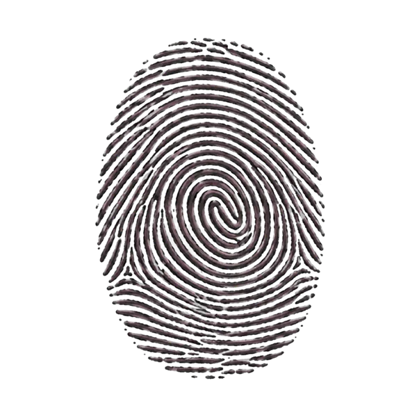 Fingerprint vocabulary illustration