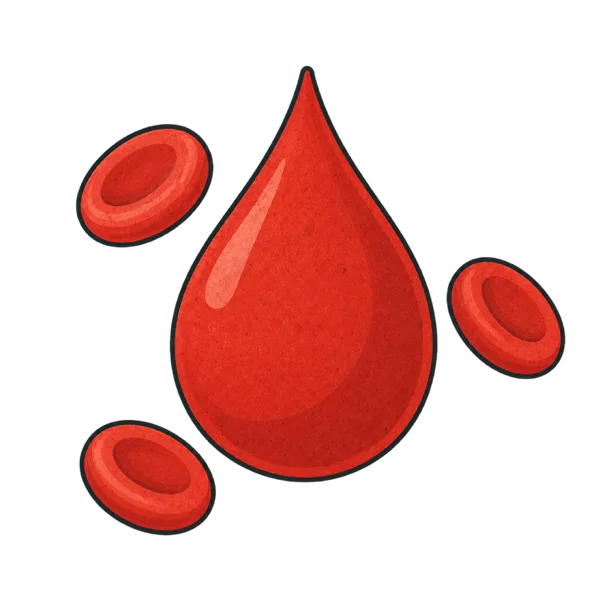 Blood vocabulary illustration