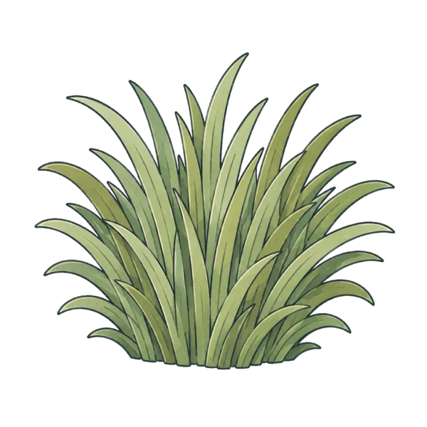 Grass vocabulary illustration