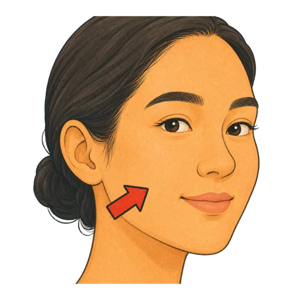 Skin vocabulary illustration